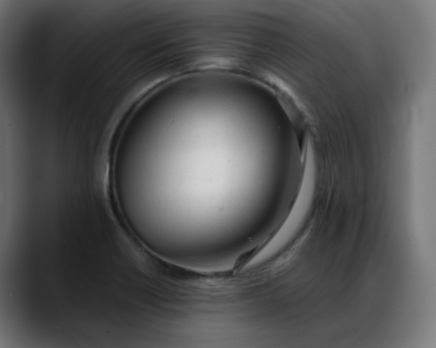 X0000088051418200705251313