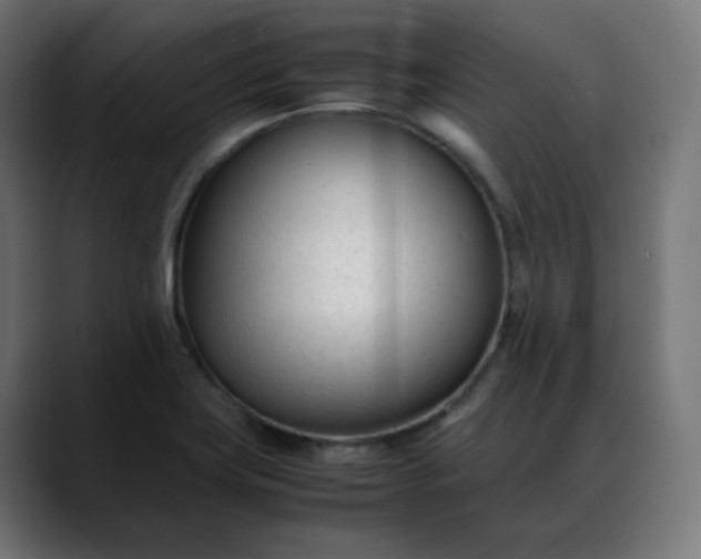 X0000088051419200705251313