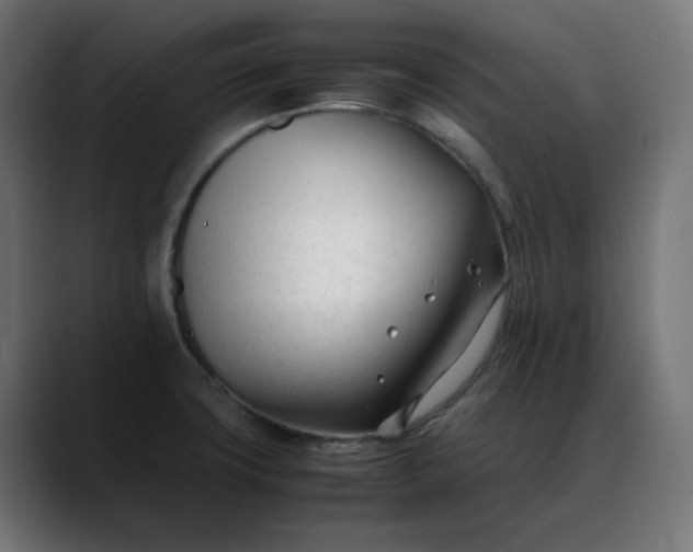 X0000088051427200705251313