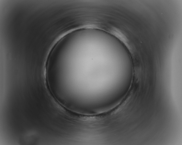 X0000088051428200705251313