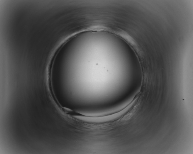 X0000088051430200705251313