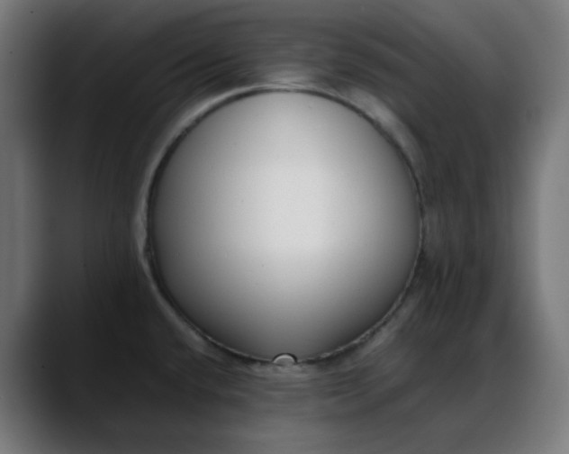 X0000088051432200705251313
