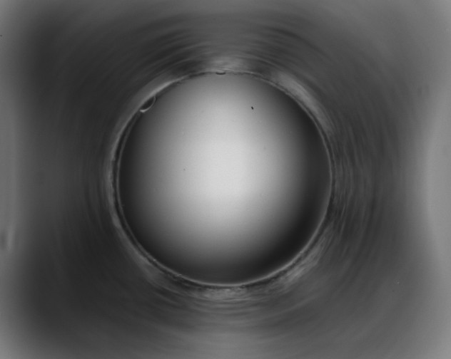 X0000088051434200705251313