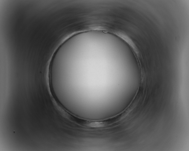 X0000088051439200705251313