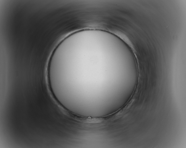 X0000088051440200705251313