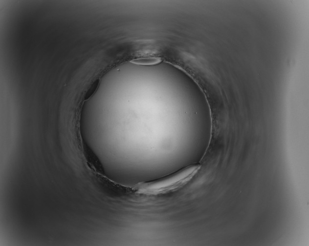X0000088051441200705251312
