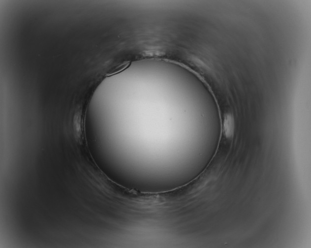 X0000088051444200705251312