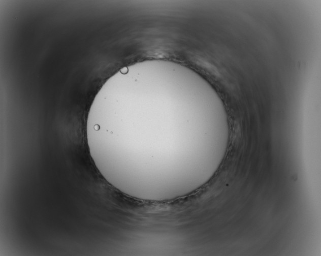 X0000088051446200705251312