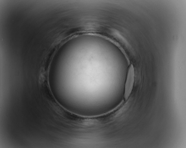 X0000088051449200705251312