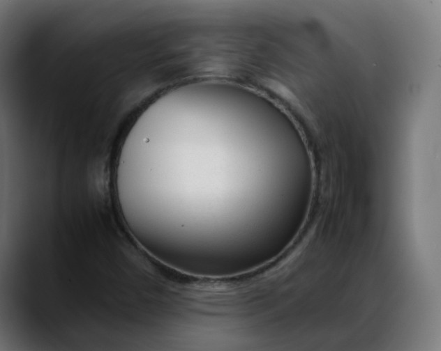 X0000088051450200705251312