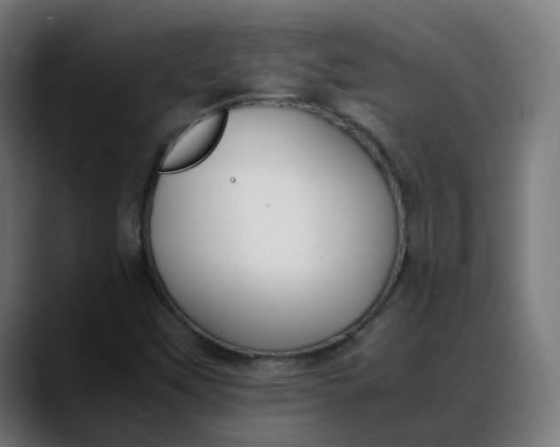 X0000088051451200705251312