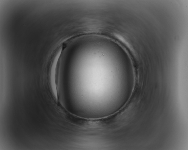 X0000088051453200705251312