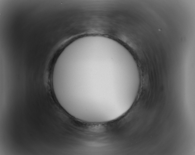 X0000088051454200705251312