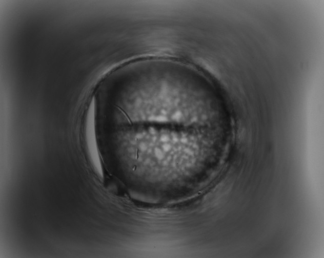 X0000088051455200705251312