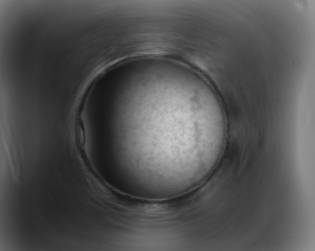 X0000088051459200705251312