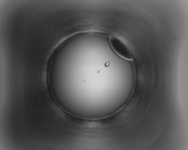X0000088051460200705251312