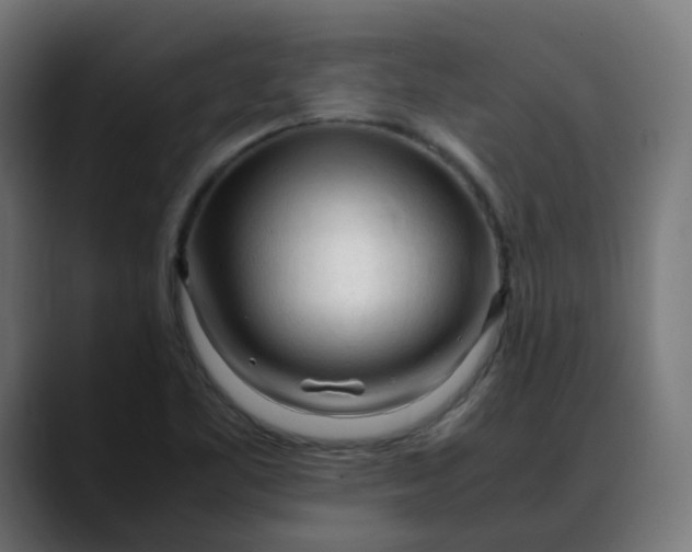 X0000088051461200705251312