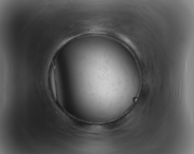 X0000088051463200705251312