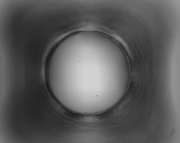 X0000088051464200705251312
