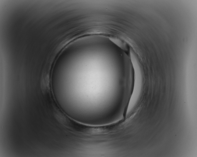 X0000088051465200705251312