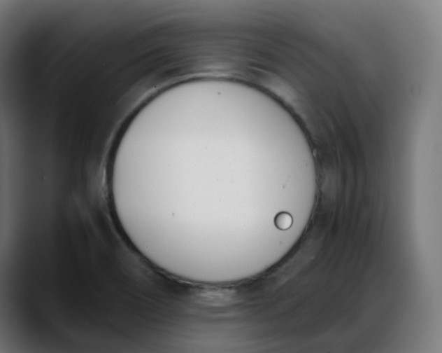 X0000088051466200705251312