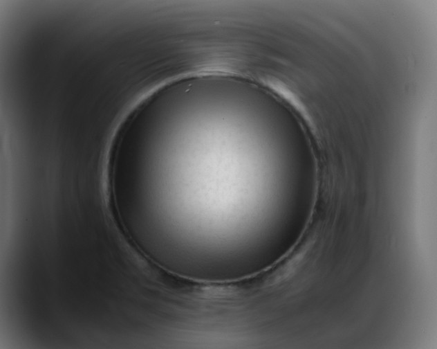 X0000088051469200705251312