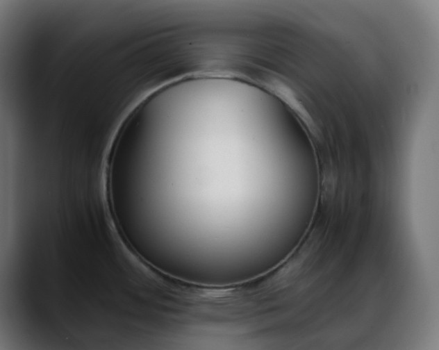 X0000088051484200705251312