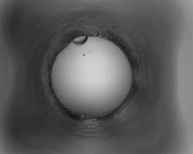 X0000088051489200705251311