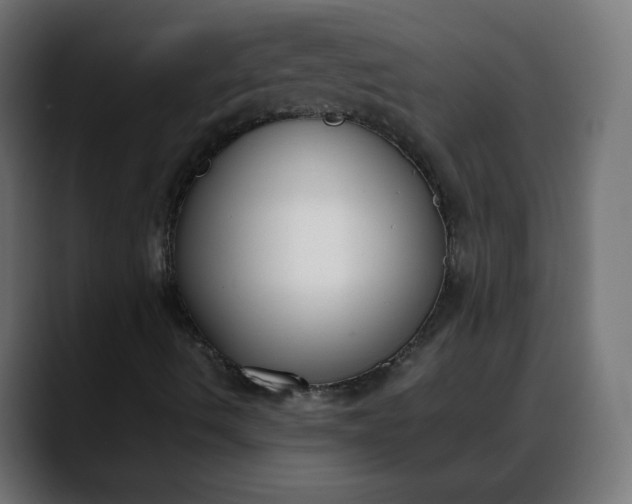 X0000088051490200705251311