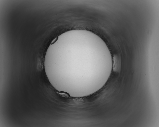 X0000088051491200705251311