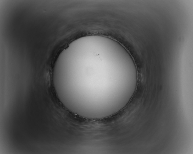 X0000088051493200705251311