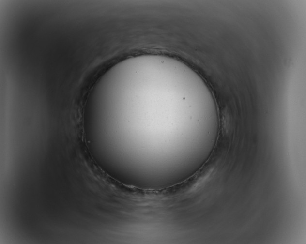 X0000088051494200705251311