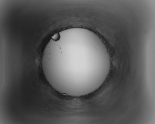 X0000088051495200705251311