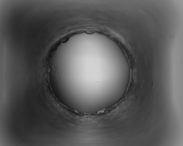 X0000088051496200705251311