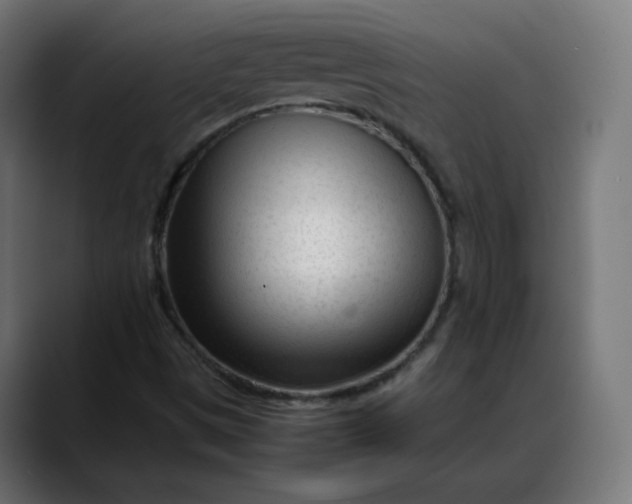X0000088051497200705251311