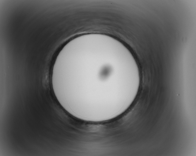 X0000088051498200705251311