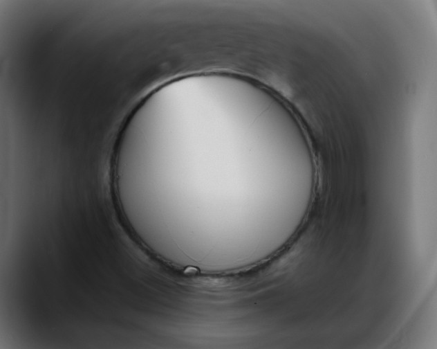 X0000088051500200705251311