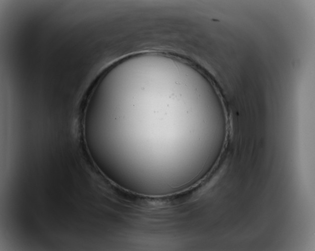 X0000088051501200705251311