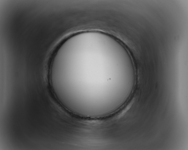 X0000088051502200705251311