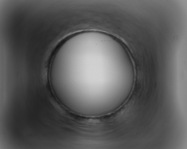 X0000088051503200705251311