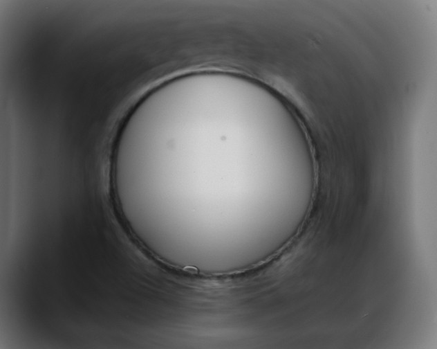 X0000088051504200705251311