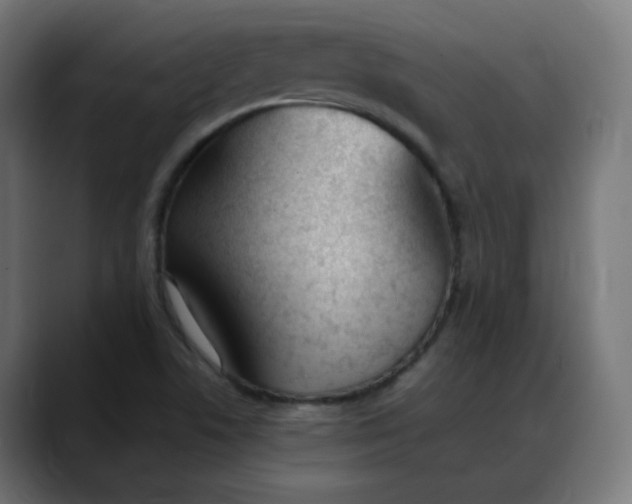 X0000088051506200705251311