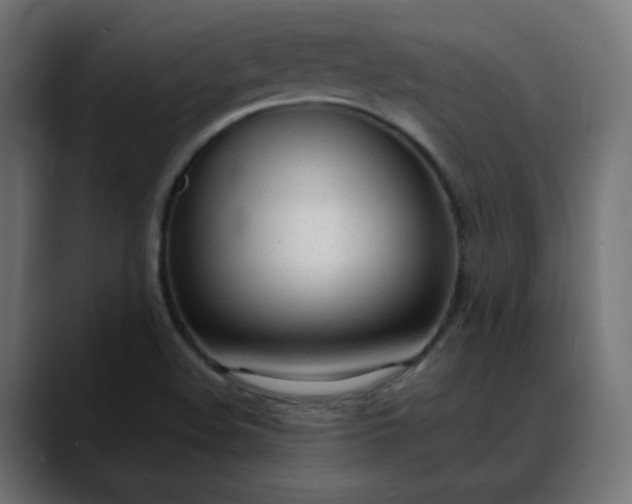 X0000088051508200705251311