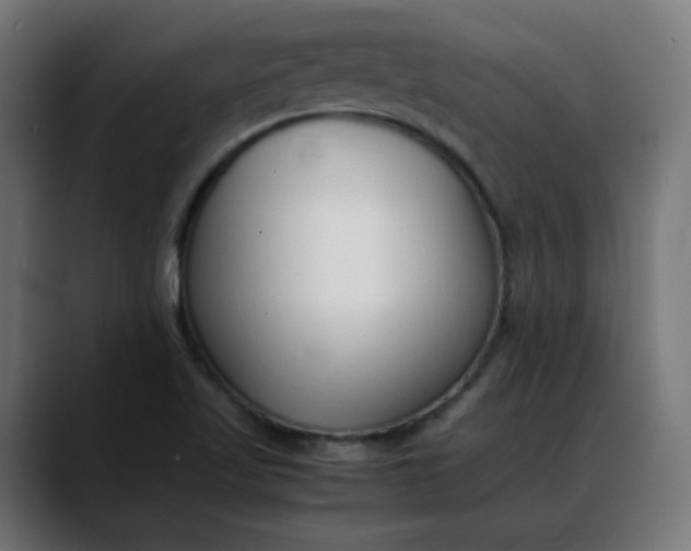 X0000088051509200705251311