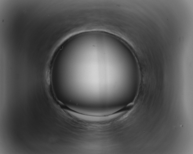 X0000088051510200705251311