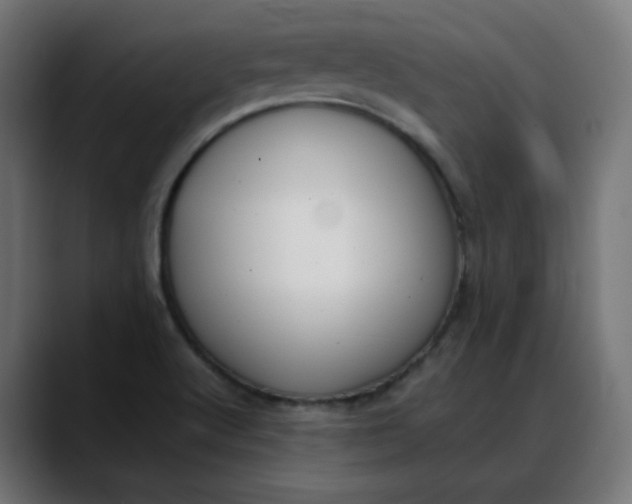 X0000088051512200705251311