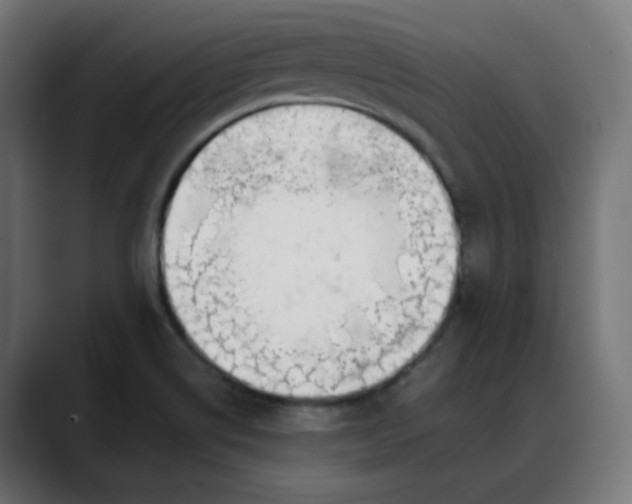 X0000088051514200705251312