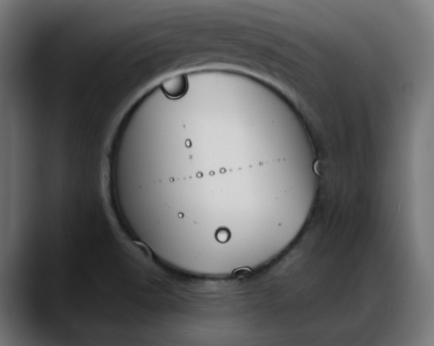 X0000088051518200705251312