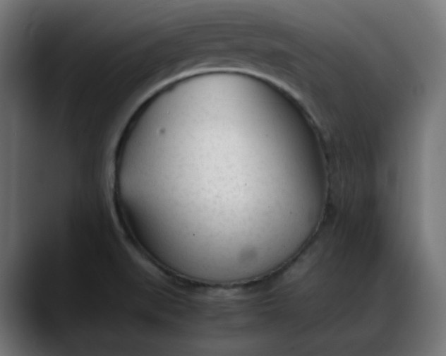 X0000088051519200705251312