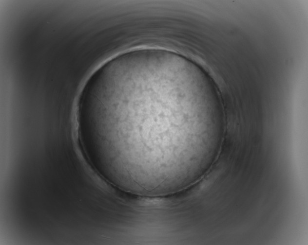 X0000088051522200705251312